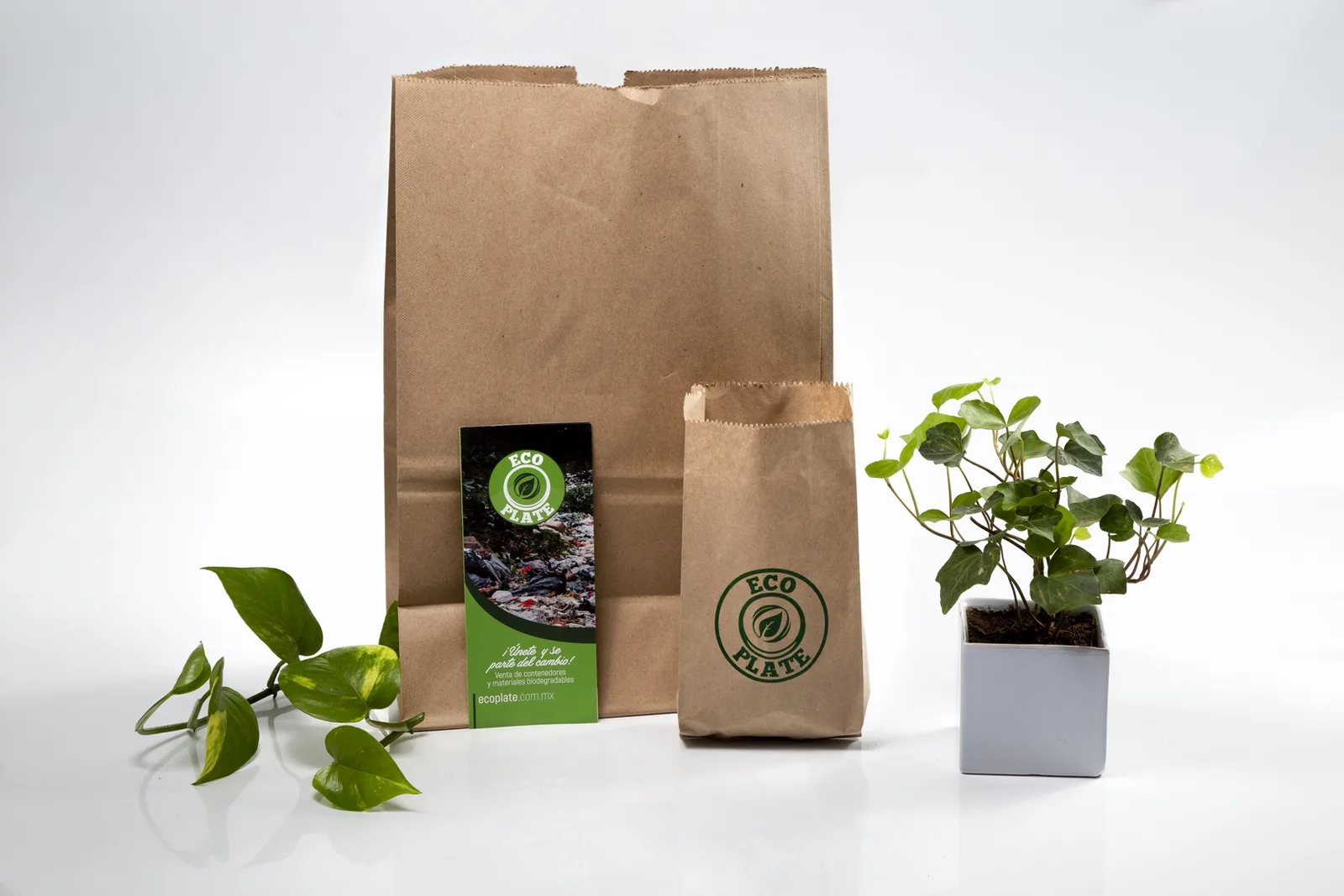 Bolsas kraft Eco Plate