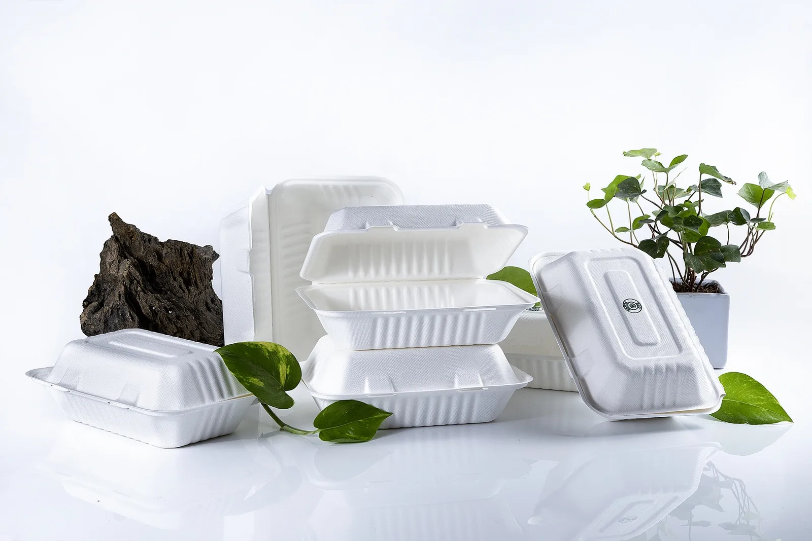 Contenedores Eco Plate