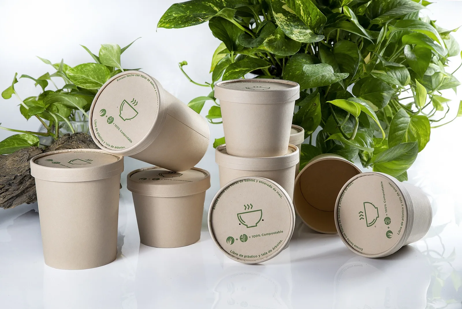 Envases Eco Plate